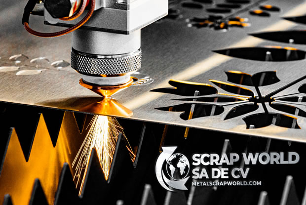 celosias para decoracion